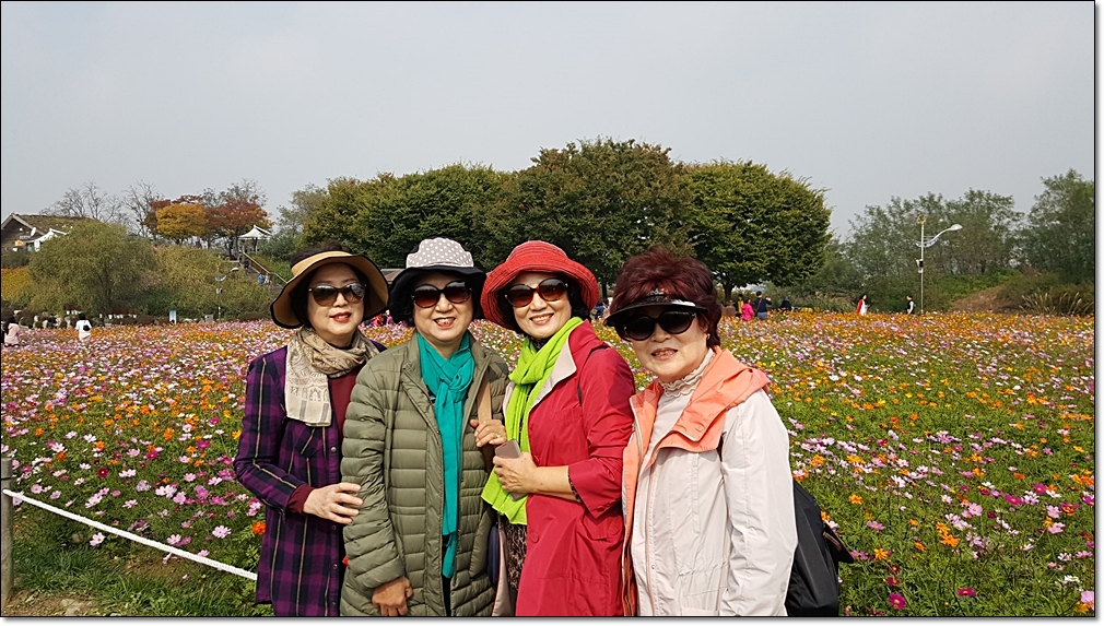 20181015_120033.jpg