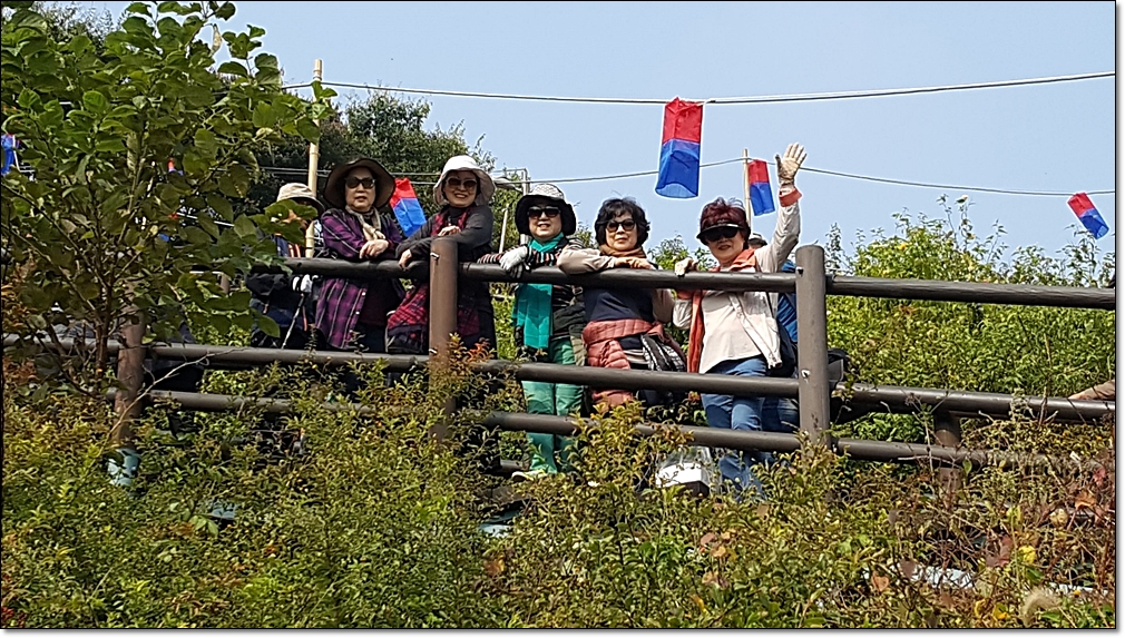 20181015_111756.jpg