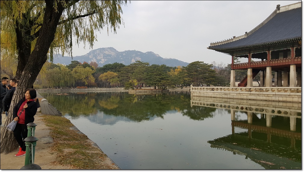 20181119_111137.jpg
