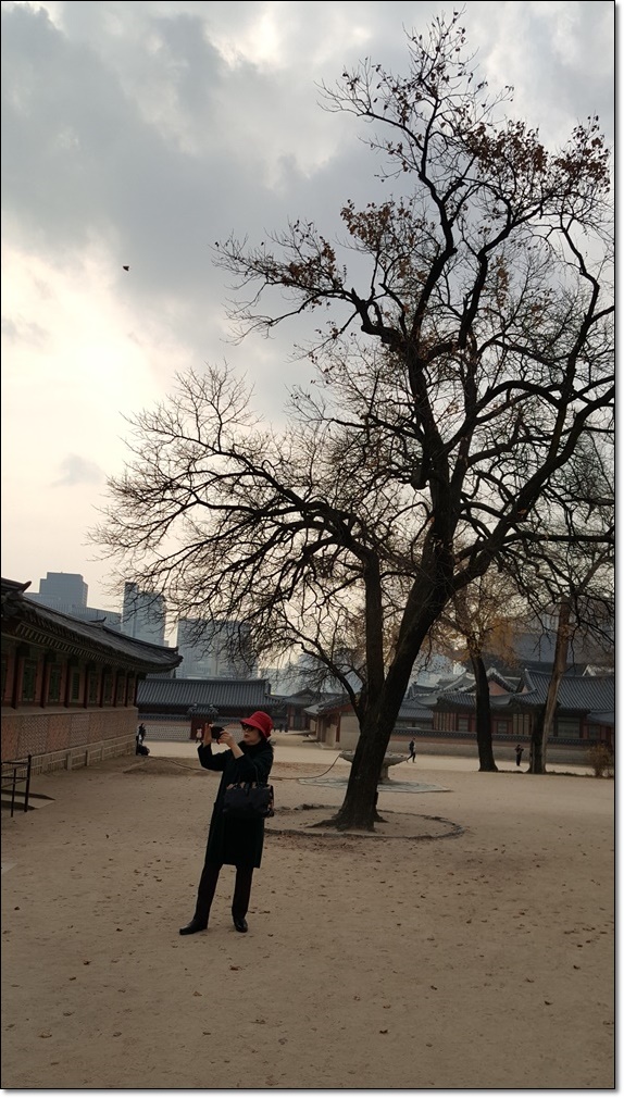 20181119_112235.jpg
