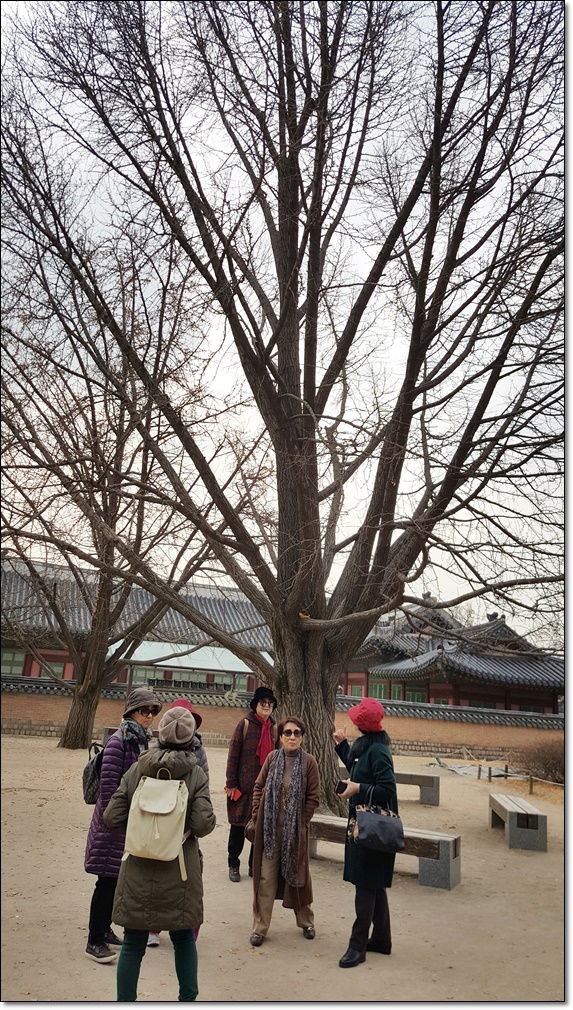 20181119_112850.jpg