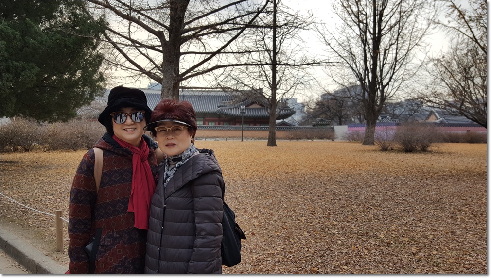 20181119_113114.jpg