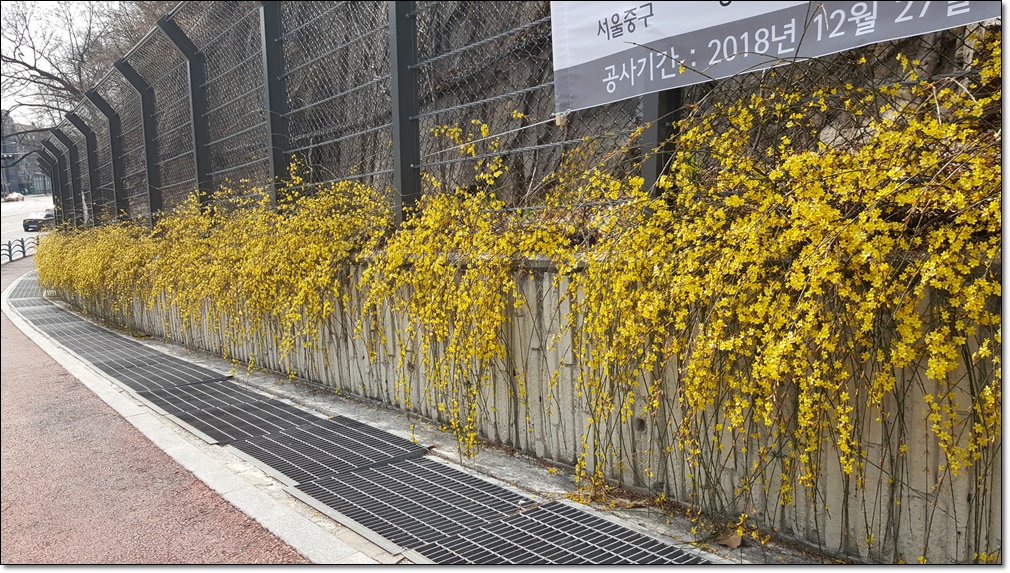 20190318_121445.jpg