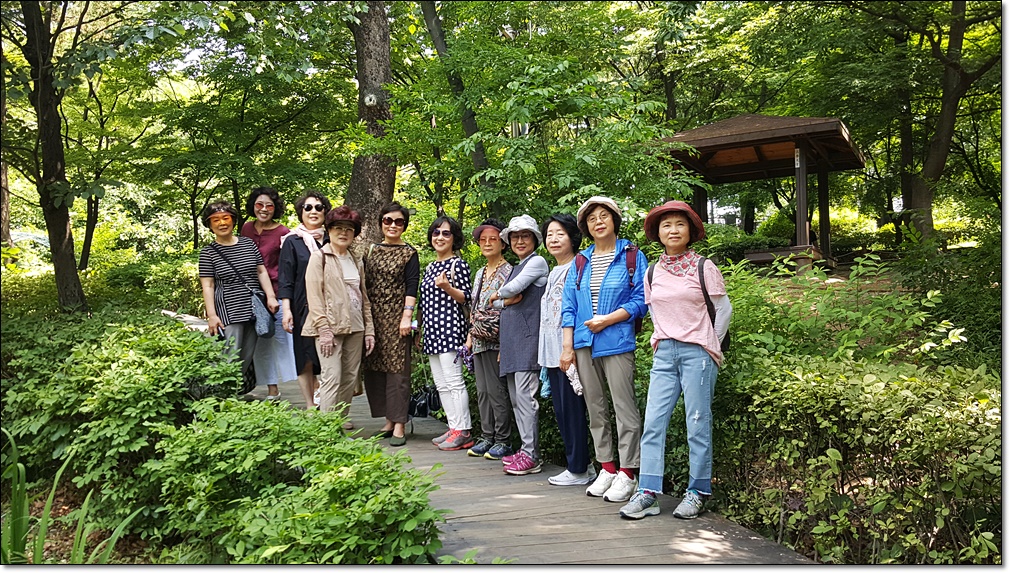 20190617_105920.jpg