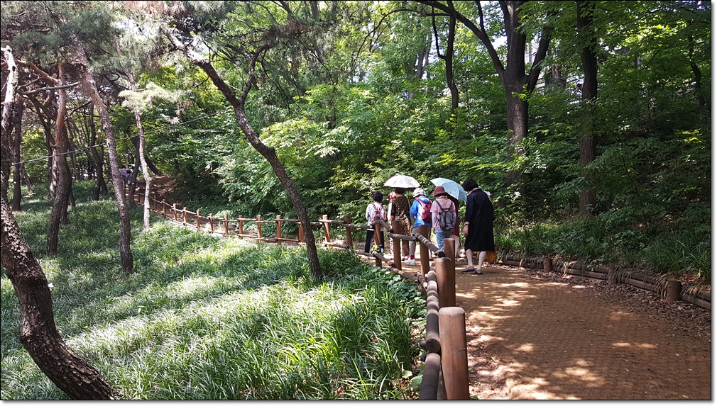 20190617_113723.jpg