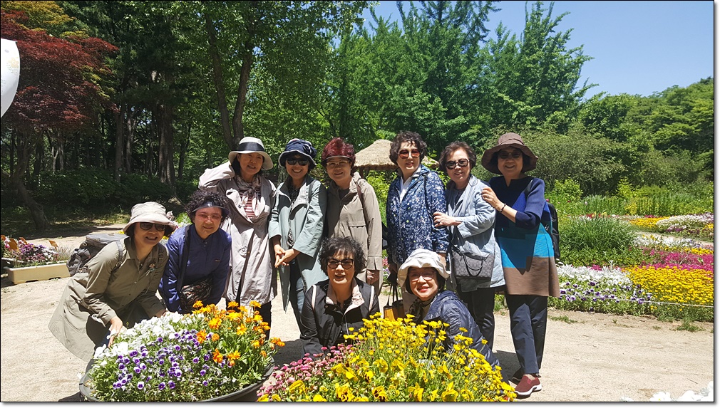 20190520_120743.jpg