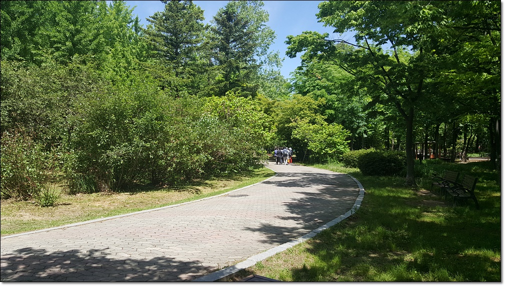 20190520_111225.jpg