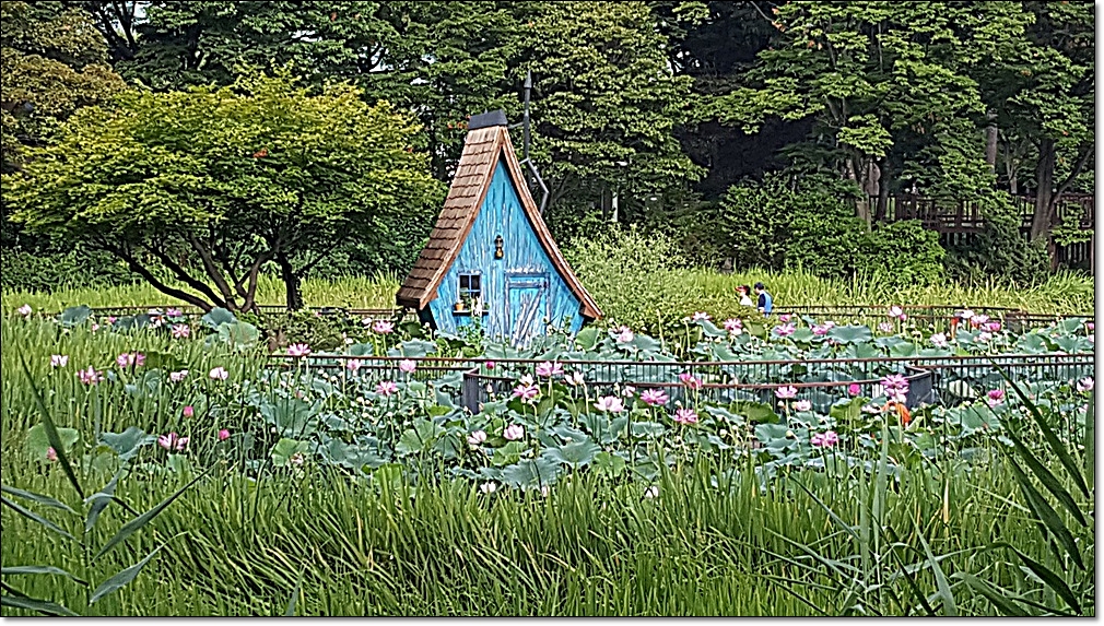 20180819_075018.jpg