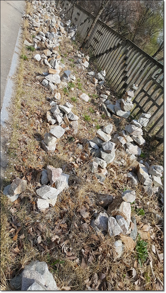20190415_142538.jpg