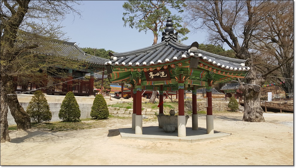 20190415_134746.jpg